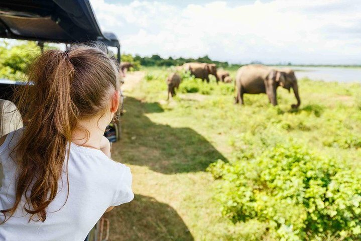 Half Day Minneriya National Park Safari from Sigiriya - Photo 1 of 9